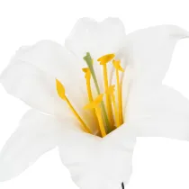 Artikel Kunstmatige leliebloem, wit, op draad, middelgroot, 35 cm, 5 stuks