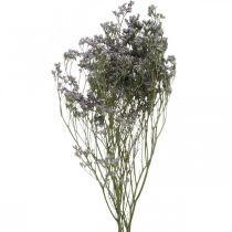 Droge Bloemen, Zee Lavendel, Statice Tatarica, Zee Lavendel, Limonium Violet L45–50cm 30g