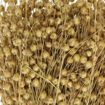 Natuurlijk vlas, grassen voor droge bloemisterij, Linum natuurproduct 160g