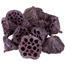 Artikel Lotuscapsules, droogbloemisterij, lotusbol roze, gewassen wit 50 stuks