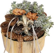 Artikel Lotusfles groot 100 stuks naturel