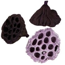 Artikel Lotus Mix Roze, Erika Ø6cm - Ø10cm 50 stuks
