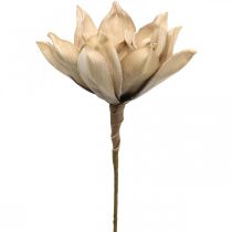 Lotusbloem, lotusbloesem decoratie, kunstplant beige L66cm