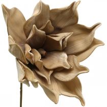 Lotusbloem, lotusbloesem decoratie, kunstplant beige L66cm