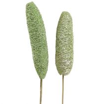Artikel Luffa groot op stokje groen 25 st