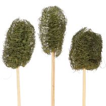 Artikel Luffa klein op een stokje spons komkommer donkergroen 5-7cm 25 stuks