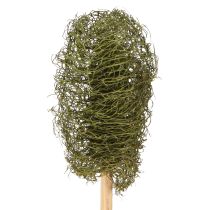 Artikel Luffa klein op een stokje spons komkommer donkergroen 5-7cm 25 stuks