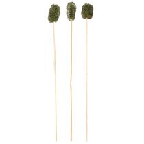 Artikel Luffa klein op een stokje spons komkommer donkergroen 5-7cm 25 stuks