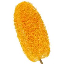 Artikel Luffa groot op stokje goudgeel 25 st