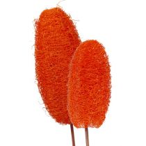 Artikel Luffa groot op stokje oranje 25 st