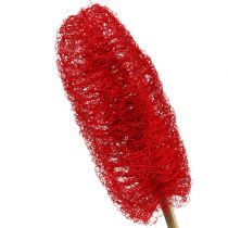 Artikel Luffa groot op stokje rood 25 st