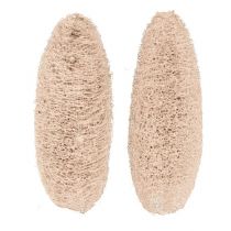 Artikel Luffa groot gebleekt 20 stuks