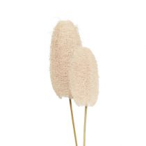 Artikel Kleine luffa op een stokje gebleekt 25 stuks