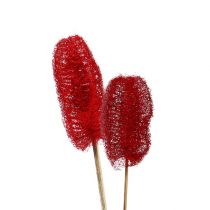 Artikel Luffa klein op stokje rood 25 st