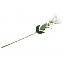 Artikel Lysianthus kunstbloem wit L87,5cm