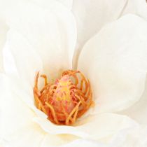 Artikel Magnolia Witte Kunstbloemknoppen Decoratie Tak H40cm 2st
