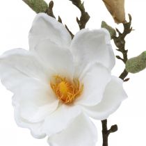 Artikel Magnolia witte kunstbloem met knoppen op decoratieve tak H40cm