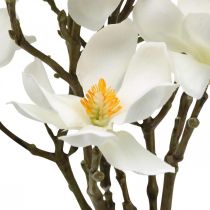 Magnolia kunst takken witte deco tak H40cm 4st in bos