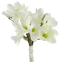 Magnolia bos wit 40cm 5st