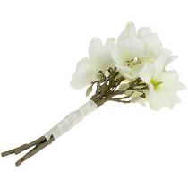 Artikel Magnolia bos wit 40cm 5 st