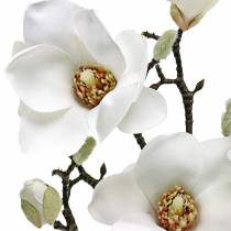 Artikel Magnoliatak wit Decoratieve tak magnolia kunstbloem