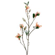 Magnoliatak lichtroze L 82 cm