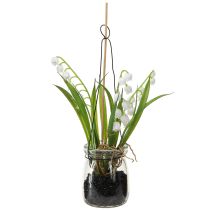 Artikel Lelietje-van-dalen in een glas Kunstmatige vroege bloeiers H22cm 3st
