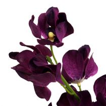 Artikel Mokara orchidee paars 50cm kunst 6st