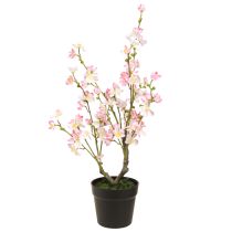 Artikel Amandelboom Grote Kunstplant in Pot Roze Wit 74cm