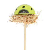 Artikel Lieveheersbeestje decoratieve bloempluggen houtkleurig 3,5cm 24 st