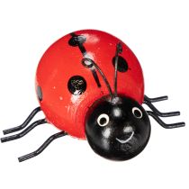 Artikel Houten lieveheersbeestjes/geluksbeestjes als schattige decoratie voor in huis, 5 cm, 6 stuks