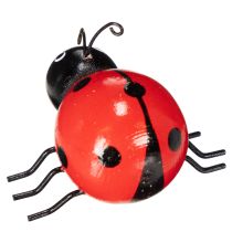 Artikel Houten lieveheersbeestjes/geluksbeestjes als schattige decoratie voor in huis, 5 cm, 6 stuks