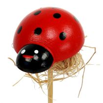 Artikel Lieveheersbeestje op houten stokje met sisalversiering 3,5cm 24 st