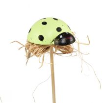 Artikel Lieveheersbeestje decoratieve bloempluggen hout 2,5x3,5x2cm 32st
