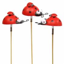 Artikel Sierpluggen lieveheersbeestje op stok hout rood, zwart 4cm x 2,5cm H23,5cm 16 stuks