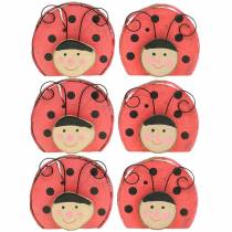 Lieveheersbeestje rood hout Ø7cm 6st