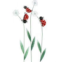Decoratieve plug lieveheersbeestje, lentedecoratie, paardenbloem met kever, metalen plug L55cm set van 3