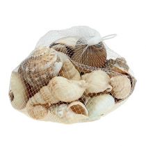Maritiem deco schelpenmix natuur 400g