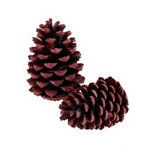Artikel Maritima kegels 10-15cm rood mat 12 st