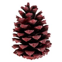 Artikel Maritima kegels 10-15cm rood mat 12 st