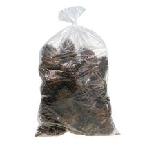 Artikel Maritima kegels 14/18 naturel 25 st