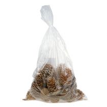 Artikel Maritima kegels room-vanille gemengd 5-18cm 25 stuks