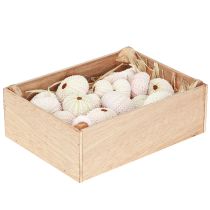 Artikel Maritieme decoratie zee-egel schelp roze, witte strooidecoratie 20 stuks