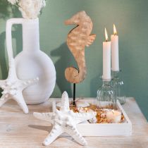 Artikel Maritieme decoratie zeepaardje op standaard naturel mangohout 29,5cm