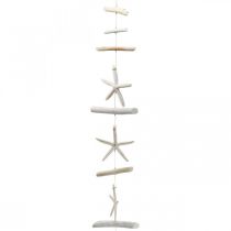 Drijfhout Slinger Schelpen Zeester Decoratie Maritiem 100cm