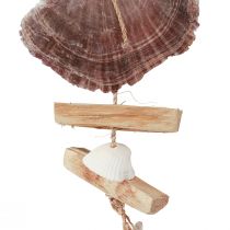 Artikel Maritieme decoratieve hanger schelp zeester Ø10–12cm 40cm