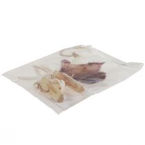 Artikel Maritieme decoratieve hanger schelp zeester Ø10–12cm 40cm