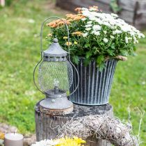 Metalen lantaarn, LED lamp, Shabby Chic Ø16cm H33.5cm