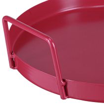 Artikel Veelzijdig dienblad, praktische opbergoplossing voor eetkamer en terras, 22 cm