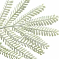 Artikel Siertak mimosa groen frost effect 63cm